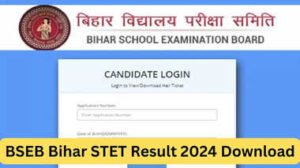 Bihar STET Result 2024 Direct Link To Download - Bihar Board Result